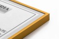 Rama Aluminiowa Alu G format A2 - 42x59,4 złota
