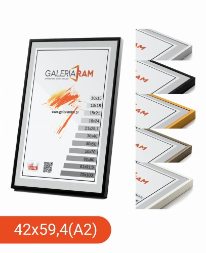 Alu G 42x59,4 (A2).jpg