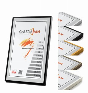 Rama Aluminiowa Alu G  100x100