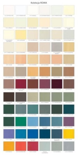 czołowe ROMA.jpg