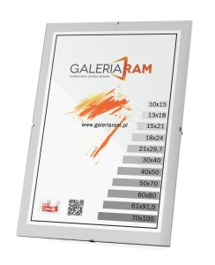 Antyrama Plexi 20x60